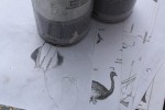 img_8745 img_8745