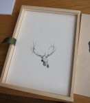 img_9310 img_9310