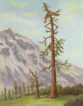 katy-betz-bigotree-copy Katy Betz