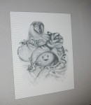 Cover for the book
