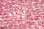 img_7689_mcgee_mural_cu_am