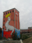 picture-15