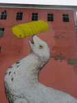 picture-8