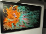 img_0716