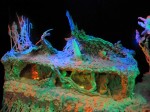 img_0723