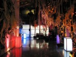 Dancefloor was redecorated to resemble a prom