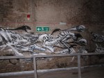 img_2076 img_2076