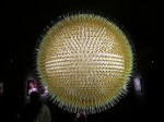 img_2119 img_2119