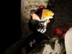 img_2135 img_2135