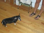 Maggie