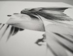von_box_macro04
