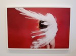 Openings: Ryan McGinley – “Animals” @ Team Gallery NY