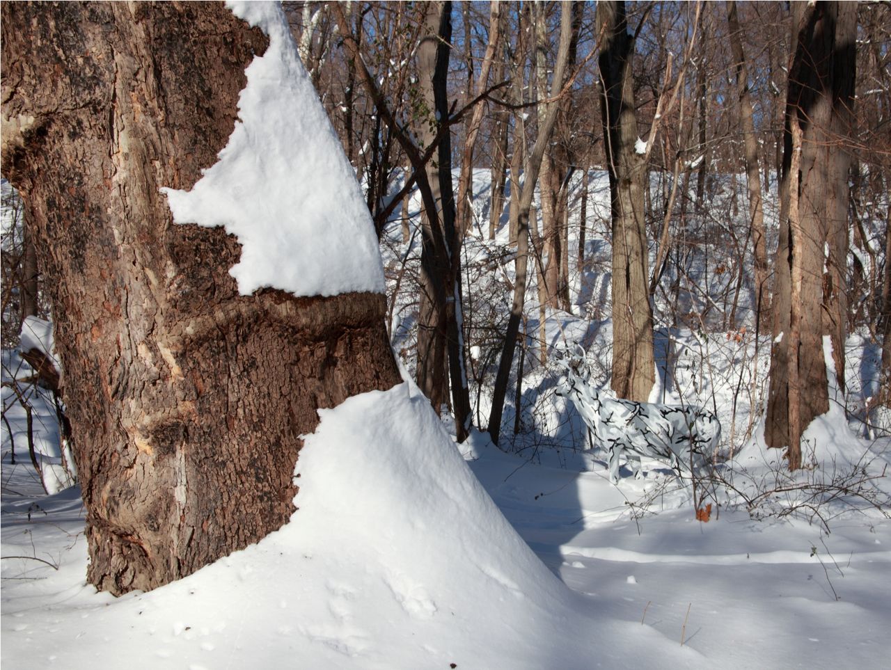 camo snow deer tree 36 x 48 -SM