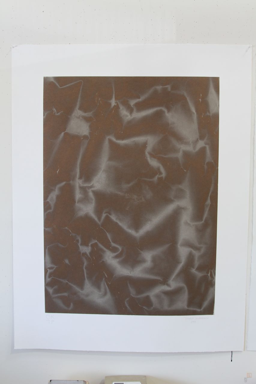 Tauba Auerbach Paulson Bott Plate Distortion print AM 4