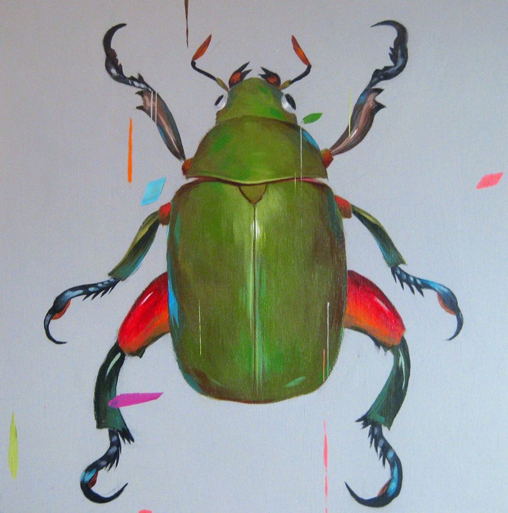Beyers-Beetle-HR