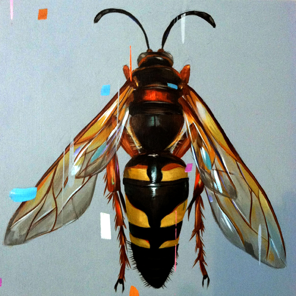 Cicada-Killer-web
