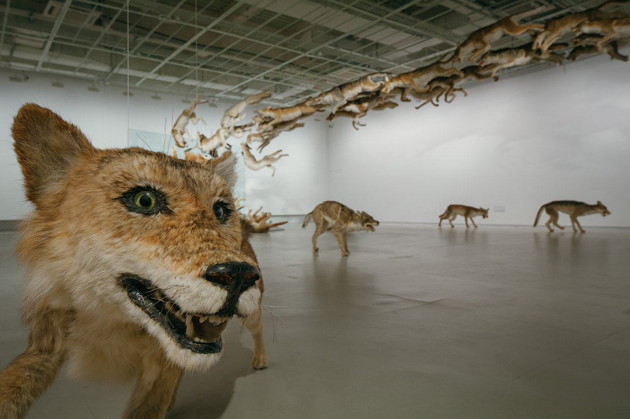cai-guo-qiang-the-ninth-wave-exhibition-power-station-of-art-1