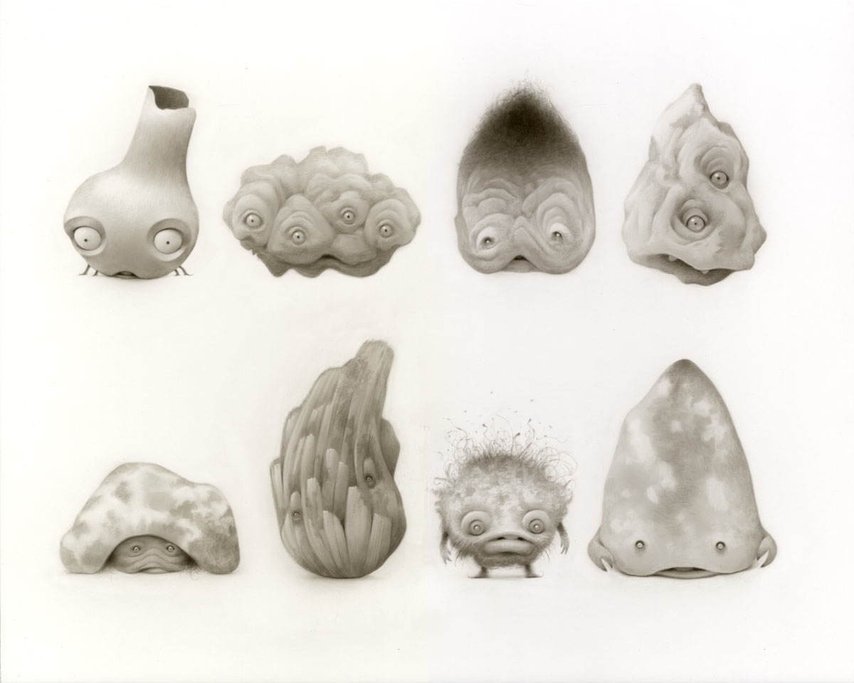 Strange-Stones-Fungi-and-Mold150