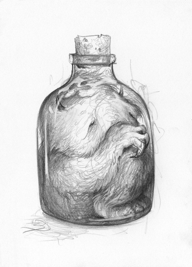 drawing-3-Bottled